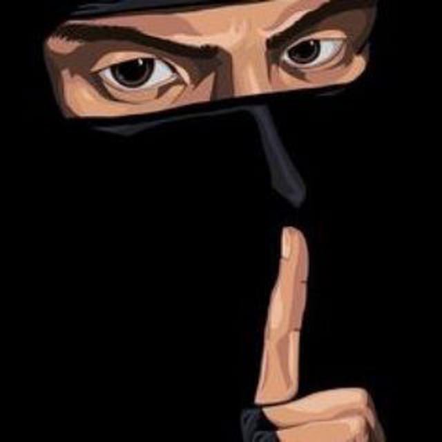 qodeninja profile photo